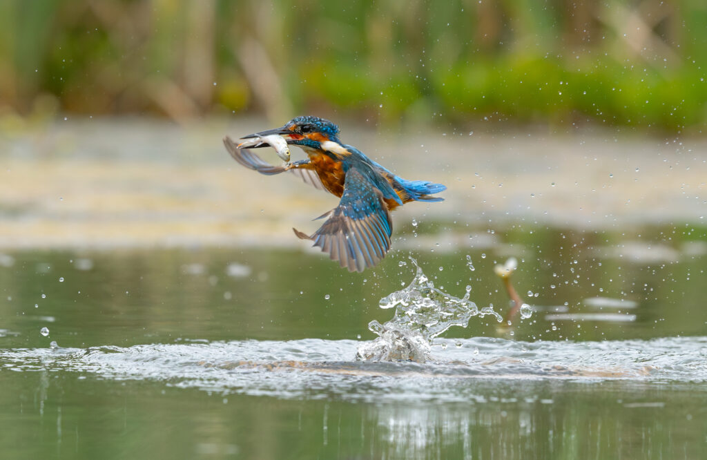 csi 0478 enhanced nr