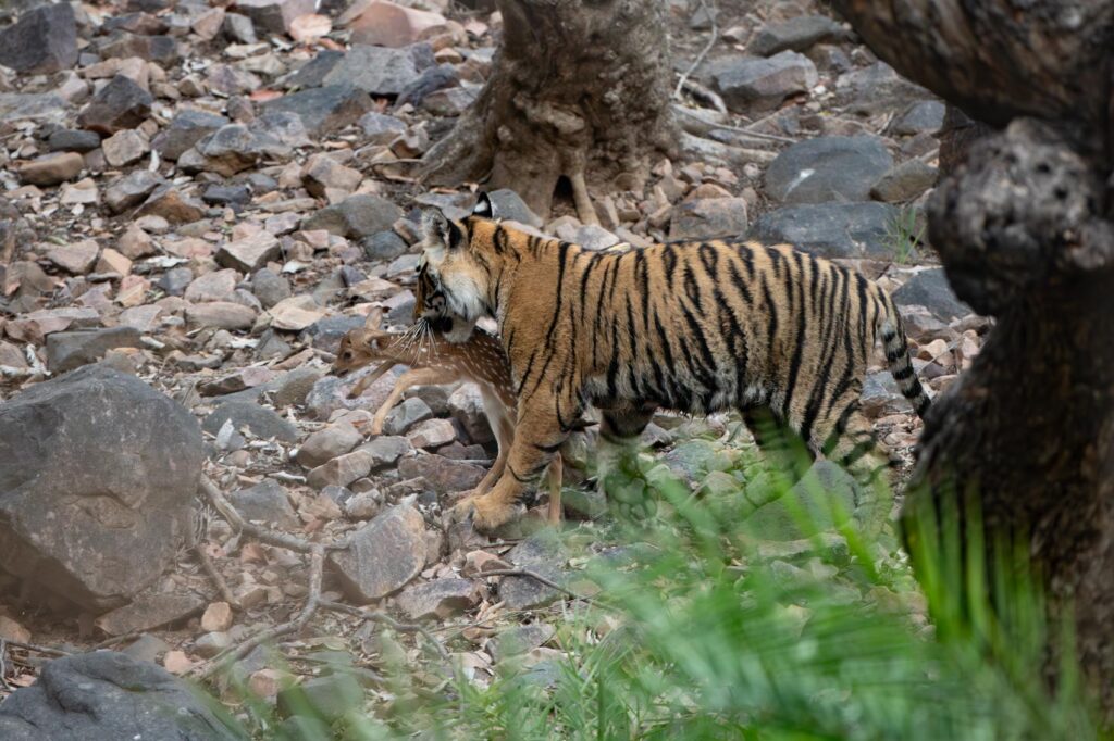 er2i6137 enhanced nr